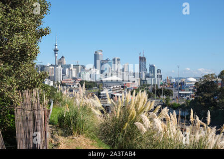 View on the Auckland CBD and Sky Tower from the hill. Vegetation in the foreground. Stock Photo