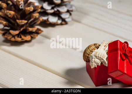 Red gift box with sea shells, tropical vacation on winter season concept, copy space image Stock Photo