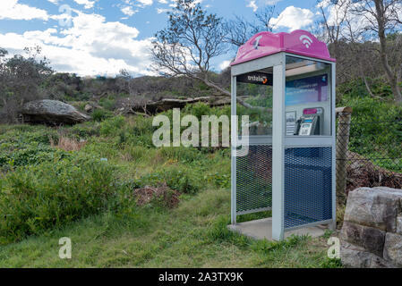 A pink topped Telstra public phone booth in a bush setting on Dee Why headland near North Curl Curl Beach in Sydney, Australia Stock Photo