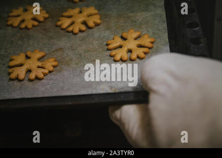 to get gingerbread cookies in the form of snowflakes from a oven mitt. Stock Photo