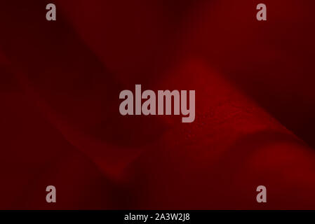red abstract background, red rose petals with velvet texture Stock Photo