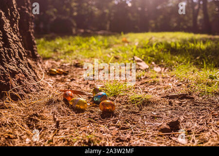 Easter egg Hunt. Golden light in a Beautiful Natural Park Setting Stock Photo