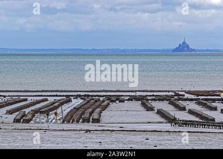 CANCALE, FRANCE, September 29, 2019 : Oyster Farming is one of the main activities of the region. Stock Photo