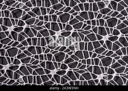 Abstract white lines decoration on black background Stock Photo