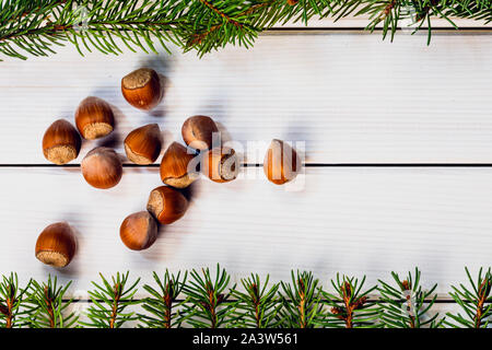 Christmas card with hazelnuts and fir branches on white wooden background Stock Photo