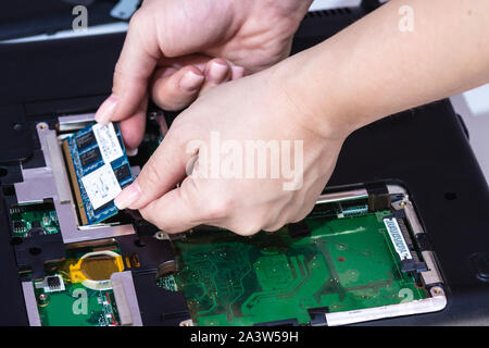 woman engineer installing computer memory Stock Photo