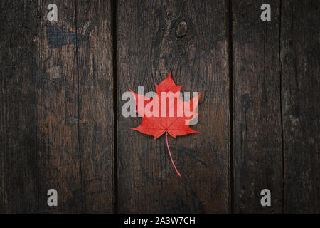 Red fallen maple leaf lies on a dark wooden old background. Save the space. View from above Stock Photo