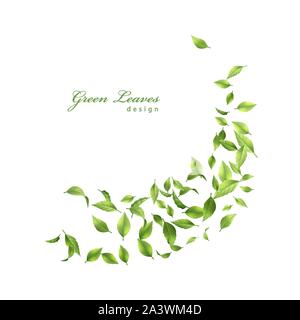 Leaves swirling in the wind Stock Vector