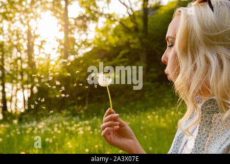 Closeup Of Young Woman Blowing Dandelion Seeds Stock Photo