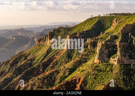 View of Saddle Mountain Wilderness and Grand Canyon North Rim at Kaibab National Forest. Stock Photo