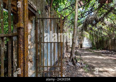 ABANDONED RUINS OF THE FORMER PENAL COLONY ON ILE SAINT-JOSEPH, SALVATION'S ISLANDS, KOUROU, FRENCH GUIANA, OVERSEAS DEPARTMENT, SOUTH AMERICA, FRANCE Stock Photo
