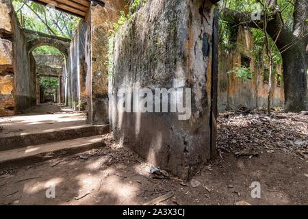 ABANDONED RUINS OF THE FORMER PENAL COLONY ON ILE SAINT-JOSEPH, SALVATION'S ISLANDS, KOUROU, FRENCH GUIANA, OVERSEAS DEPARTMENT, SOUTH AMERICA, FRANCE Stock Photo