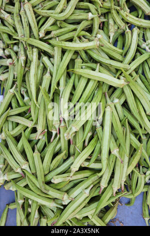 A pile of fresh Okra Ladies Finger Stock Photo
