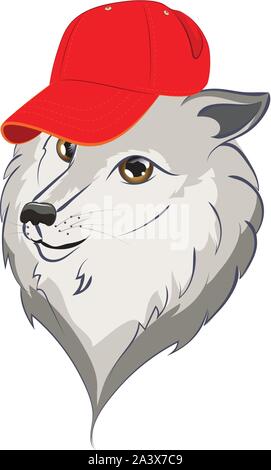 Cute cartoon wolf in a baseball cap illustration on white background. Stock Vector