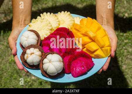 A girl in the green jungle is holding a plate with freshly cut and peeled tropical fruits. Stock Photo