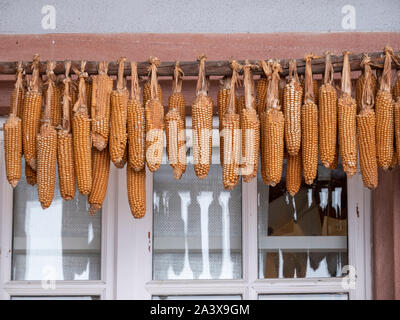 Window on an old building in Alsace France with corn on the cob or sweetcorn hanging up outside to dry Stock Photo