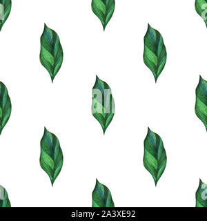 Seamless pattern. Tropical banana leaves on a white background. Hand drawn with colored pencils and markers. Minimal style. Stock Photo