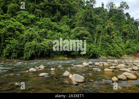 Bahorok River near Bukit Lawang village in North Sumatra, Indonesia. Stock Photo