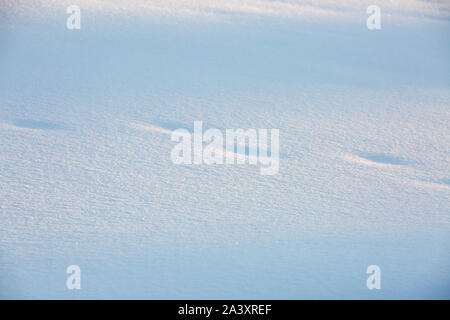 A smooth snowy surface with visible traces of a person or animal is lit by the setting sun Stock Photo