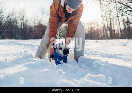 Pug dog walking on snow with his owner. Man playing with pet outdoors Stock Photo
