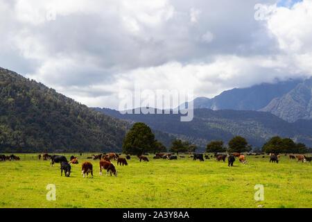 view towards southern alps range, New Zealand Stock Photo