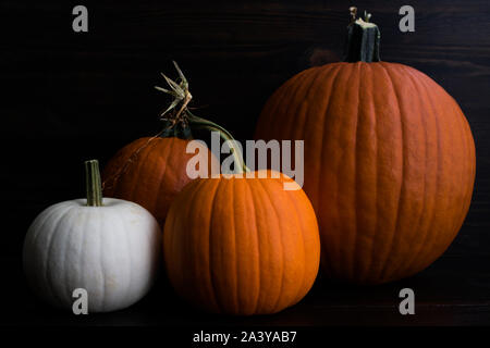 Rustic Grouping of Whole Pumpkins: Group of whole pumpkins of various sizes on a dark wood background Stock Photo