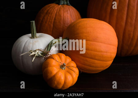 Rustic Grouping of Whole Pumpkins: Group of whole pumpkins of various sizes on a dark wood background Stock Photo