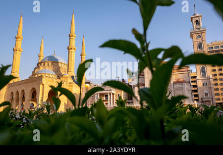 Mohammad Al-Amine Mosque and at right Saint Georges Maronite Cathedral, Beirut, Lebanon Stock Photo