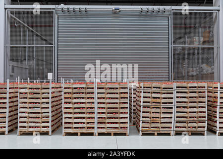 Crates of Tomatoes at Pallets in Warehouse Stock Photo