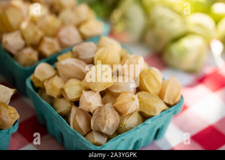 Tomatillos (Physalis philadelphica) or Mexican husk tomatoes for sale at a farmer's market in Lowell, Massachusetts, USA. Stock Photo
