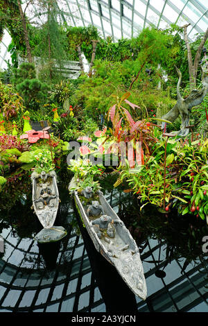 Singapore, giardini dalla baia, Lego piante carnivore al Cloud Forest Green  House Foto stock - Alamy