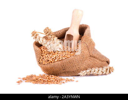 Wheat spike and wheat grain in burlap bag isolated on white background Stock Photo