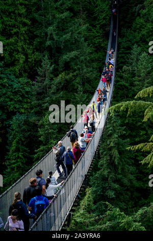 Capilano Suspension Bridge Park, North Vancouver, British Columbia, Canada Stock Photo