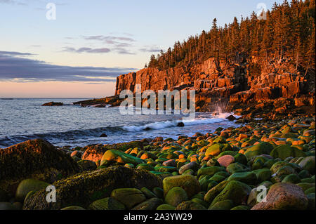 Sunrise, Otter Cliff, Acadia National Park, Maine, USA Stock Photo - Alamy