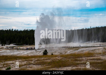 Beehive geyser during an eruption in the upper geyser basin Yellowstone Stock Photo