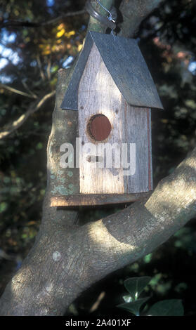 SMALL EMPTY TIMBER NESTING BOX FOR BIRDS MOUNTED IN THE FORK OF A TREE, AUSTRALIA. Stock Photo