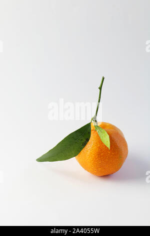 Close up of single fresh mandarin isolated on white background Stock Photo