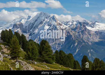 UNESCO world heritage Marmolada mountain in summer, green trees and meadow Stock Photo