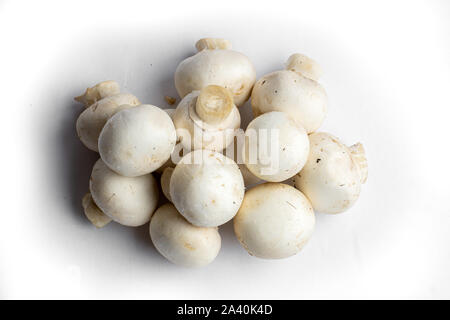 mushrooms isolated on white background Stock Photo