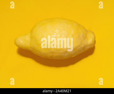 Whole lemon fruit on yellow background. Modern yellow minimalist. Stock Photo