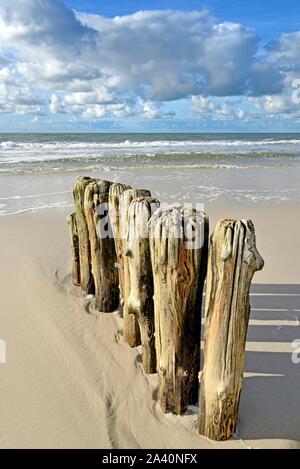 Groynes, wooden piles as breakwaters on the beach near Kampen, Sylt, North Frisian Island, North Sea, North Frisia, Schleswig-Holstein, Germany Stock Photo