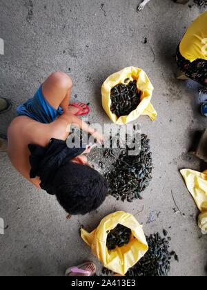 Bacoor City, Philippines. 10th Oct, 2019. Women and their kids cleaning ...