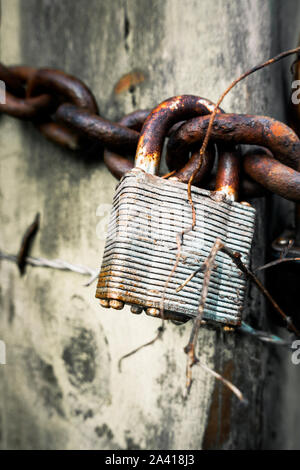 A rusty old padlock and chain on a weathered wooden gate post Stock Photo