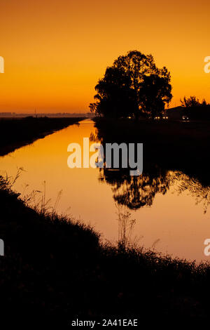 Sunrise. Rice fields in the Guadalquivir river delta near Los Palacios y Villafranca, Sevilla province. Southern Andalusia, Spain. Europe Stock Photo