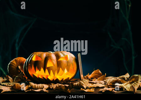 Halloween pumpkins and smartphone in scary deep night. Halloween background