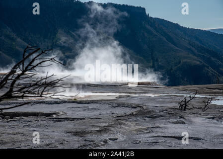 Steaming hot spring in Yellowstone of vivid colors caused by thermophilic bacteria Stock Photo