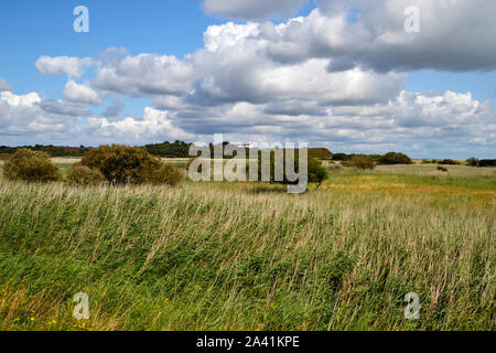 RSPB Minsmere Nature Reserve, Suffolk, UK Stock Photo