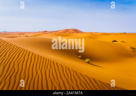 Majestic beautiful scene of Merzouga dunes of Sahara desert Morocco. Stock Photo