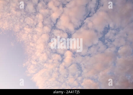 A think layer of clouds underneath a blue sky. Stock Photo