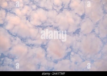 A think layer of clouds underneath a blue sky. Stock Photo